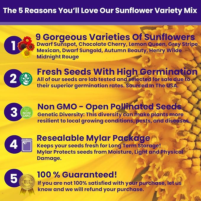 NatureZ Edge 2600+ Sunflower Seeds for Planting Bulk Variety Pack, Get More Sunflower Seeds to Plant, from Dwarf Sunflowers to Giant Sunflower Seeds, Includes Mammoth Sunflower Seeds, Non-GMO