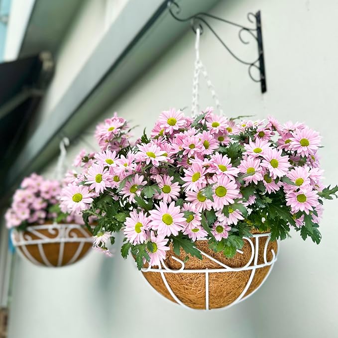 LaLaGreen Hanging Planter for Outdoor Plants (2 Pack, 10 Inch) White Hanging Baskets with Coco Liner, Metal Wire Flower Basket Pots with Hook Hanger Balcony Porch Farmhouse Country Style Garden Decor