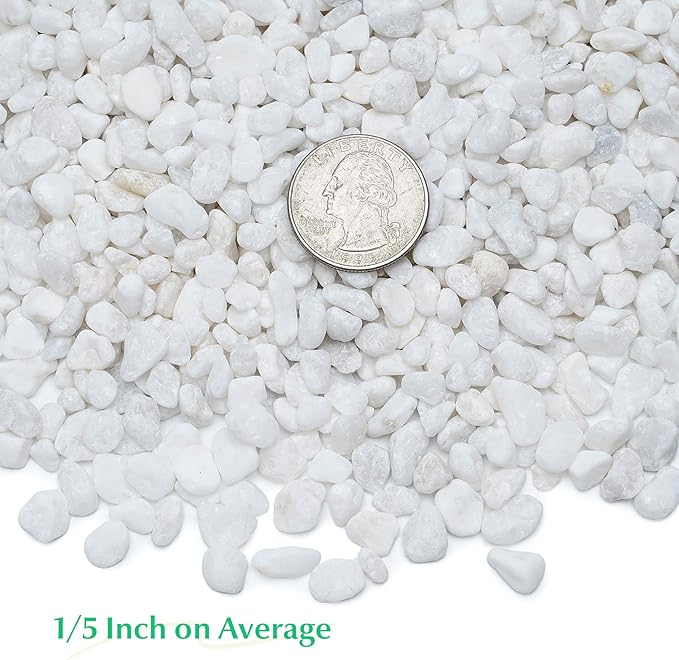 Mr. Fireglass 10 lbs White Pebbles,1/5" Natural Decorative River Rocks Aquarium Gravel for Indoor Plants, Vases, Succulents and Outdoor Garden Landscaping (Pack of 2)