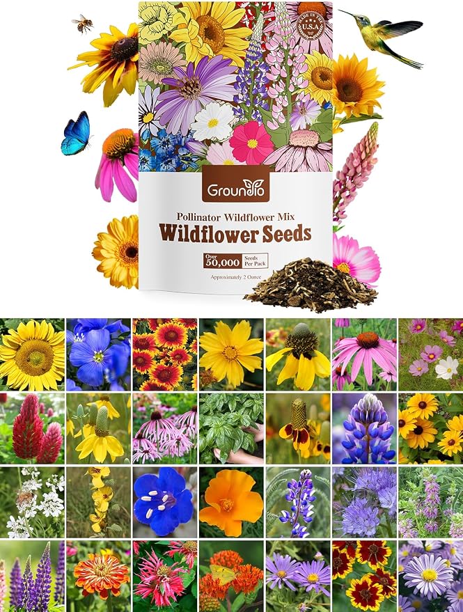Groundio Wildflower Seeds, 2 OZ, 100,000+ Seeds, 28 Varieties Annual & Perennial Wild Flower Seeds Mix, Attracts Bees, Butterflies & Birds, Colorful Flowers Seed to Plant Outside