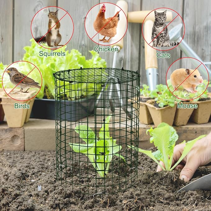 Unves 5 Set Garden Plant Protectors from Animals -12" x 14" Metal Plant Cages for Outdoor Plants, Wire Mesh Plant Covers Keep Animals Away from Your Garden's Flower Vegetable