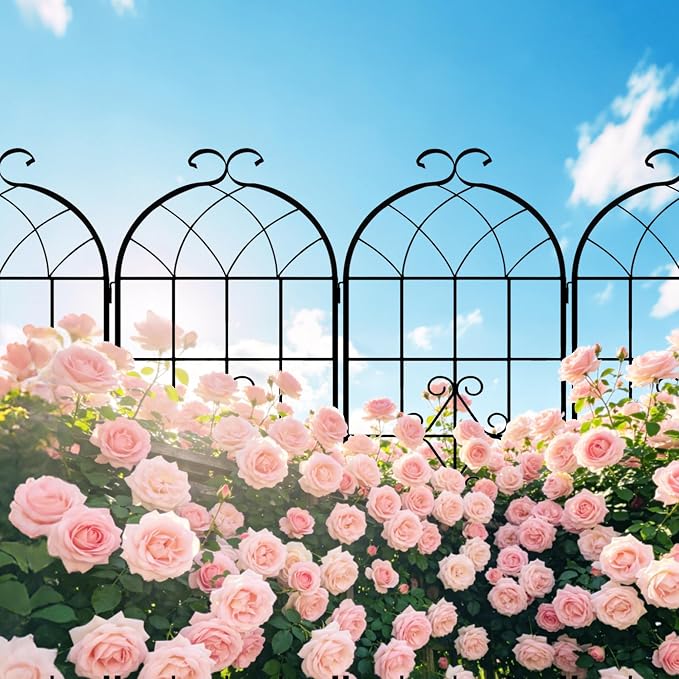 LZRS 4 Pack 78.7x20in Rustic Iron Arch Decoration Garden Trellis with Black Metal Coating – Perfect for Supporting Climbing Plants Outdoor, Roses, Vines, Flowers, and Vegetables.