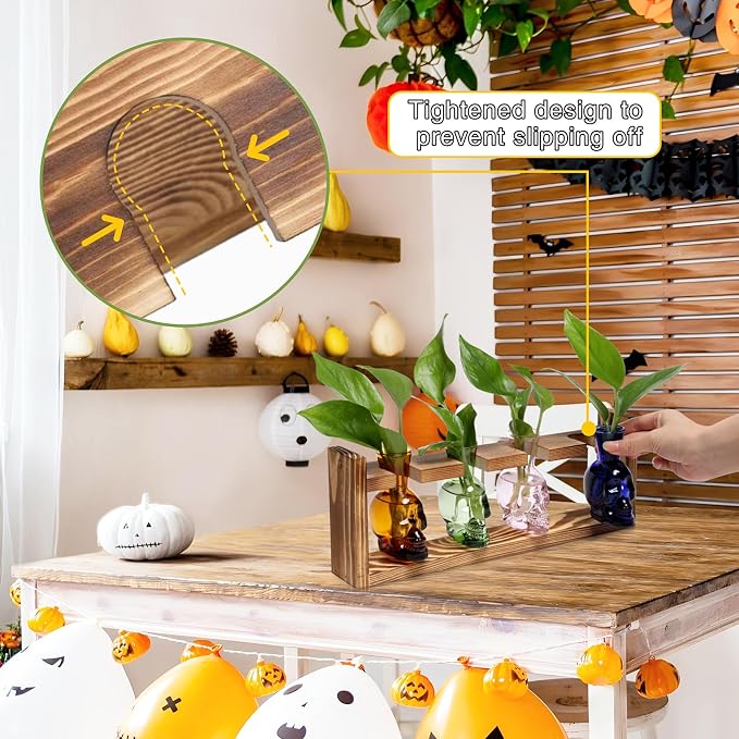 Plant Propagation Stations Halloween Skull Plant Terrarium Kit | Glass Vases Gift for Father Air Planter Home Office Decor