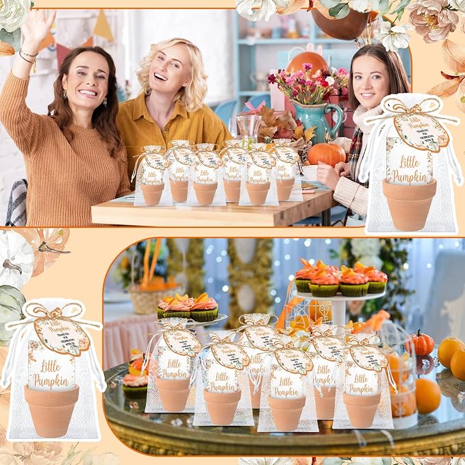 Reallnaive Little Pumpkin Baby Shower Party Decorations Set Include 24 Mini Terracotta Pots Seed Packets 24 Self Adhesive Envelopes Pumpkin Shape Tags Gifts for Fall Autumn Thanksgiving Baby Shower