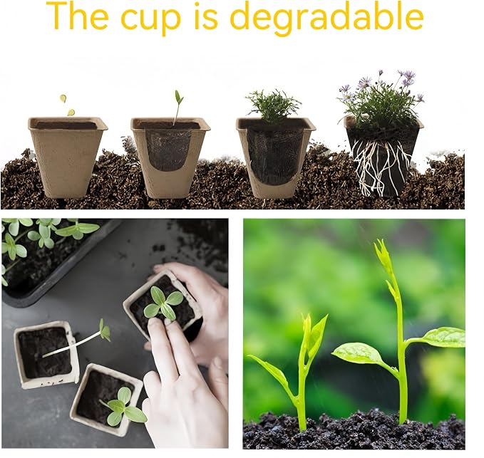 240 Cells Seed Starter Tray, 24 Pack Biodegradable Peat Pots with 24 Plant Labels, Organic Seed Starting Trays kit