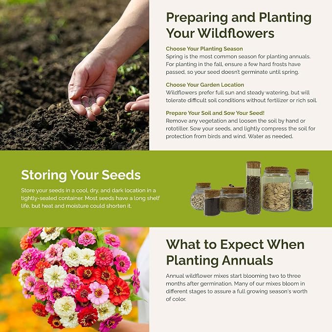 Eden Brothers Zin Master Zinnia Seeds for Planting 2026, 1/4 lb Flower Seeds Mix 120,000+ Seeds – 6 Variety Mix, California Giant, Dahlia, Mexican, Lilliput Zinnia | Non-GMO Garden Seeds, Zones 3-10