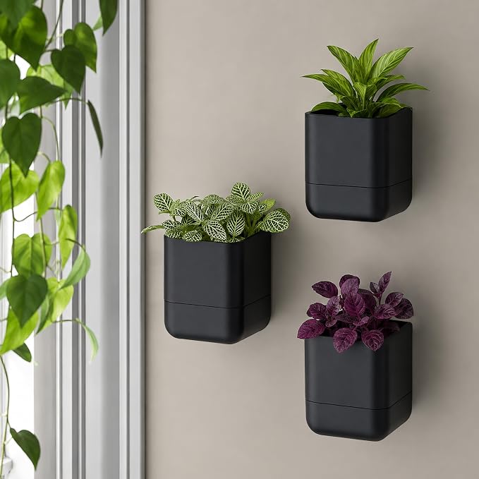 Phoenix Vine 4.5 Inch Wall Mounted Self-Watering Planter Pot for Indoor Houseplants and Herbs | Hanging Planter for Window Sills, Bathroom Walls, Home & Office Décor, Black, Set of 3, 01-B-E-3