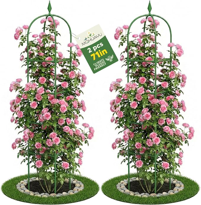 2 Pack Garden Obelisk Trellis for Climbing Plants, 6 FT Metal Rustproof Plant Support Rose Trellis, Tower Potted Cages for Flowers Fruits Vegetable Vines Indoor & Outdoor, Green(4 Tiers)