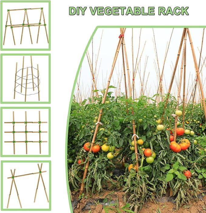 PFNRTH Bamboo Plant Stakes – 25pcs 4FT Natural Bamboo Garden Stakes for Tomatoes, Peppers, Beans, Indoor & Outdoor Plants, Sturdy Plant Support for Seedlings & Potted Plants