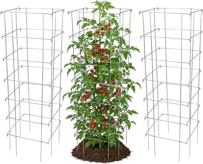Garden Elements Square Tomato Cage, 58 Inch (Pack of 3) – Heavy Duty Galvanized Steel Plant Support, Collapsible Garden Trellis with 8-Leg Stability for Climbing Vegetables & Vines