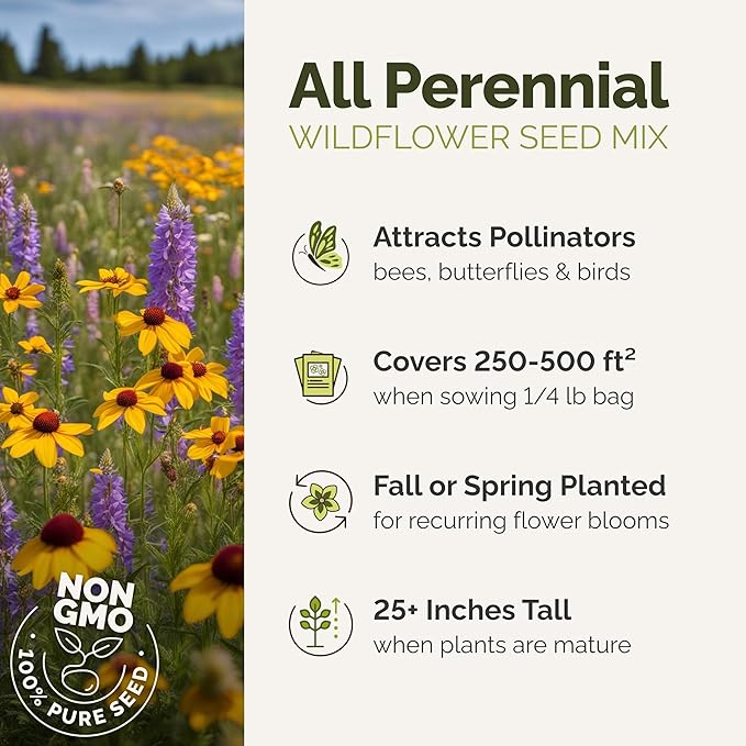 Eden Brothers All Perennial Wildflower Seed Mix for Planting, 1/4 lb, 120,000+ Seeds, Throw and Grow 19 Flower Varieties, Non-GMO Covers 250-500 Sq Ft, Attracts Pollinators, Spring or Fall, Zones 3-10