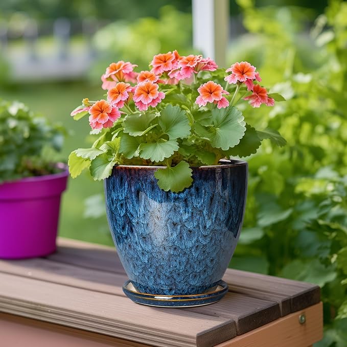 6 Inch Plant Pot - Ceramic Pots for Plants with Drainage Hole and Saucer, Ceramic Planters for Indoor Plants Outdoor, Decorative Round Planter, Room Home Decor, Gifts for Plant Lovers, Blue
