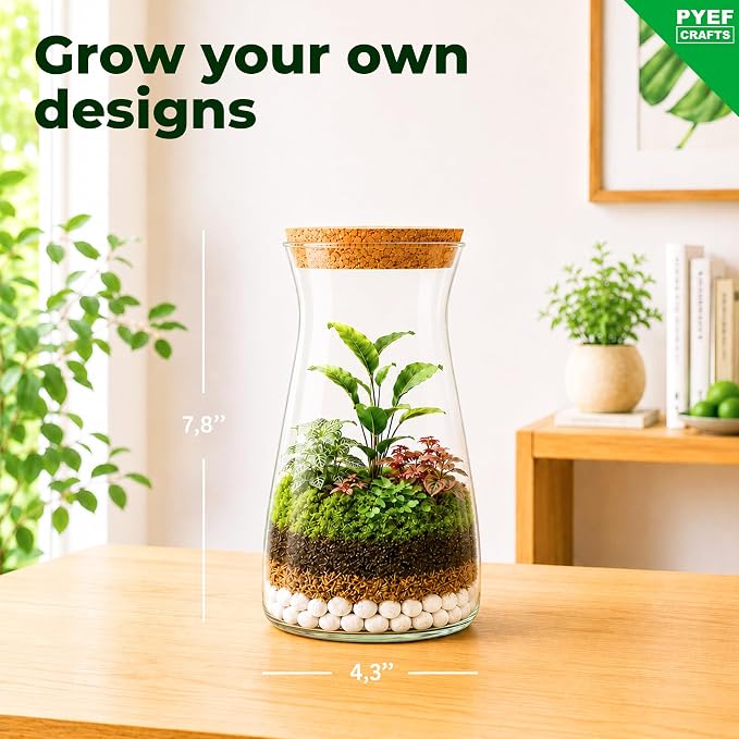 Terrarium Kit for Plants DIY | Starter Pack – Closed Ecosystem – 34 fl oz Glass – Succulents, Air Plants, Bonsai, Indoor Plants – (Plants Not Included)