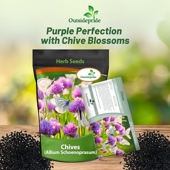 Outsidepride 1 lb. Perennial Chives Herb Garden Seeds for Microgreens, Sprouts, & Cooking