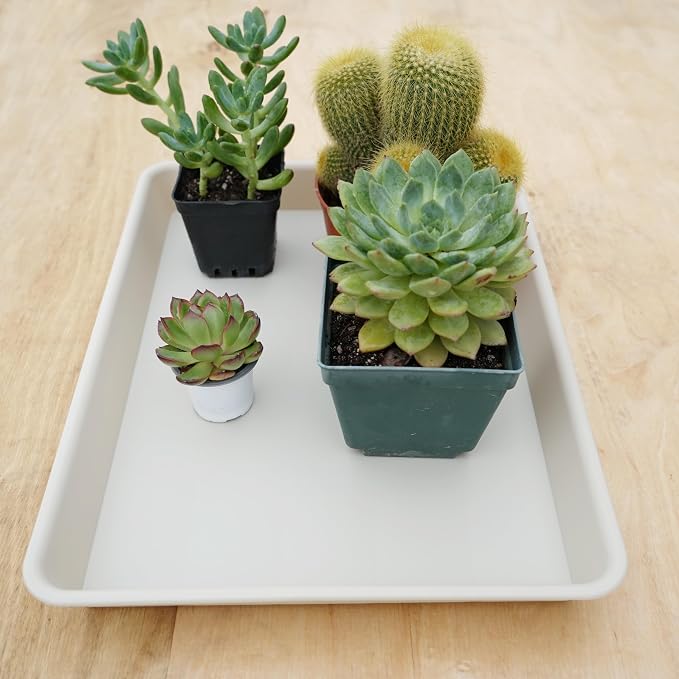 VUWEZ 2 Pack Rectangular Plant Saucer Tray, Heavy Duty Plastic, Beige, 17.5" x 10.6" x 1.5" (2 pack), Plant Drip Trays for Pots, Seed Starter Growing Trays, Indoor/Outdoor Use