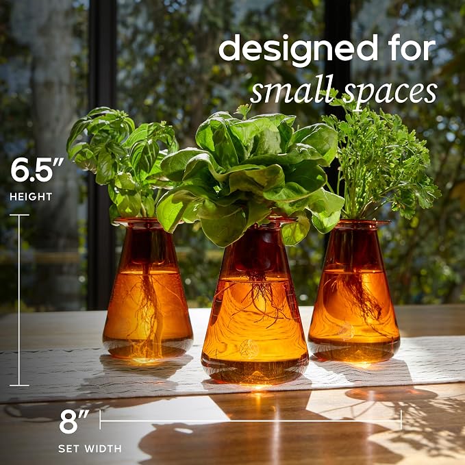 Lettuce Grow Counterstand Hydroponic Garden, Indoor Gardening System Hydroponics Growing System Kit, Herb Garden Planter Indoor Kit Countertop Vase Style No Grow Light | Indoor Herb & Lettuce Growing System, 3 Seedlings Included, Countertop Planter, De...