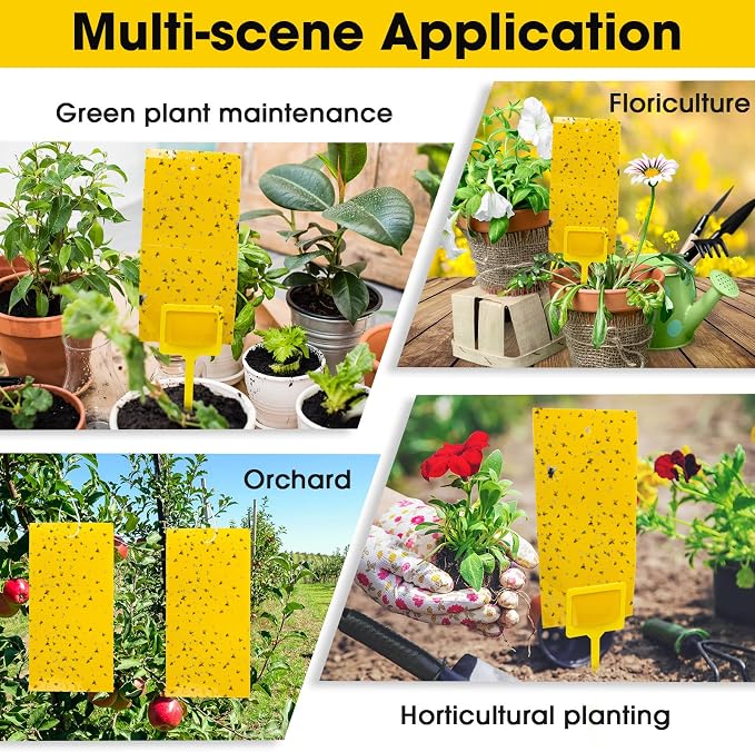 Qualirey 550 Pcs 7.9 x 4 Inch Yellow Sticky Traps for Plant Gnats Dual Sided Fruit Fly Sticky Traps for Indoors Outdoors with Twist Ties & Plastic Holders for Insect, Fungus Gnats, Whiteflies, Aphids