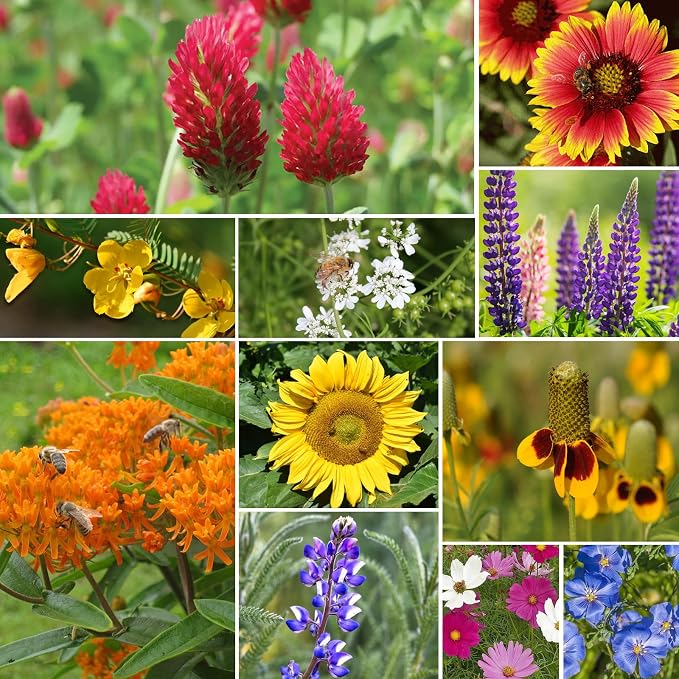 Groundio Wildflower Seeds, 2 OZ, 100,000+ Seeds, 28 Varieties Annual & Perennial Wild Flower Seeds Mix, Attracts Bees, Butterflies & Birds, Colorful Flowers Seed to Plant Outside