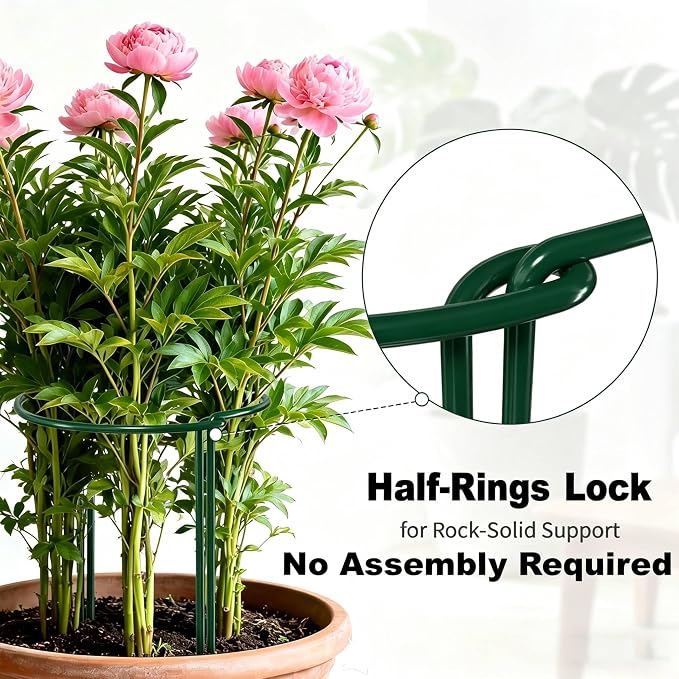 AMAGABELI 6 Pack 24 Inch Plant Support Stakes Peony Cage Heavy Duty Ring Metal Garden Support Structures Plant Cage with Ties for Indoor Flower Outdoor Tomato Hydrangea Monstera