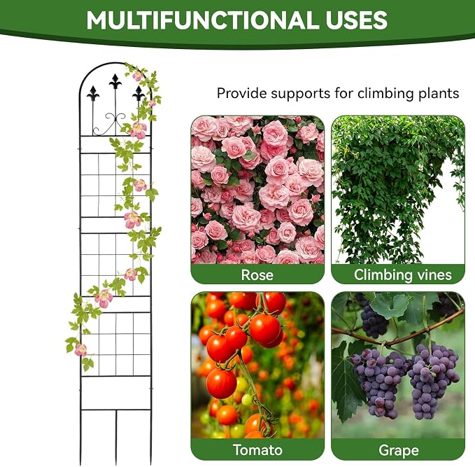 Amoskey 2 Pack 79x13in Durable Garden Trellis for Climbing Plants - Outdoor Trellis Supports for Lush Greenery - Ideal for Vines, Flowers, and Vegetables, Easy Installation & Space-Saving Design