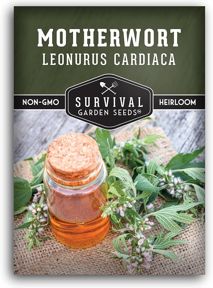 Motherwort Seeds for Planting - Leonurus Cardiaca - Heirloom Medicinal Herb for Apothecary Gardens and Pollinator Support - Survival Garden Seeds (1 Pack)
