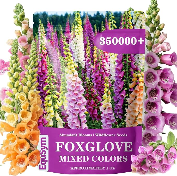 350,000+ Common Foxglove Seeds for Planting - Digitalis Purpurea Seeds, Tall Ornamental Flower Seeds for Outdoor Cottage and Pollinator Gardens