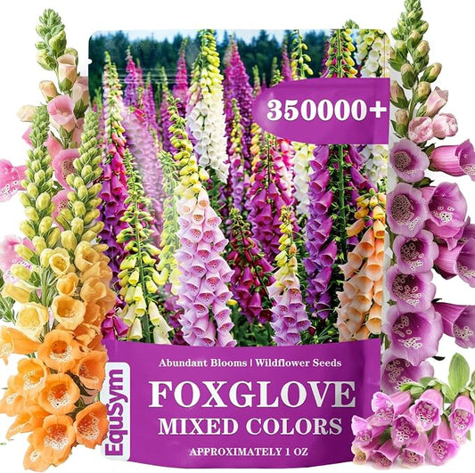 350,000+ Common Foxglove Seeds for Planting - Digitalis Purpurea Seeds, Tall Ornamental Flower Seeds for Outdoor Cottage and Pollinator Gardens