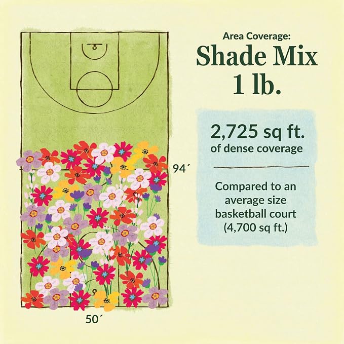 Ferry Morse Flower Seeds - Non-GMO Wildflower Shade Mix, Shade Flowers - 1 lb