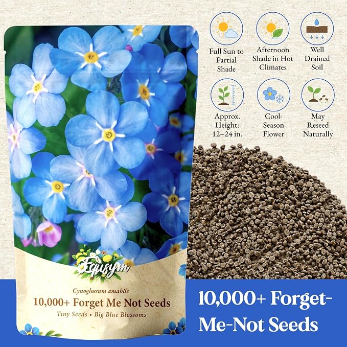 10,000+ Forget-Me-Not Seeds Bulk for Planting - Cynoglossum amabile Blue Flower Seeds, Large Pack for Cottage Gardens, Beds, Borders & Naturalized Areas, Pollinator Friendly