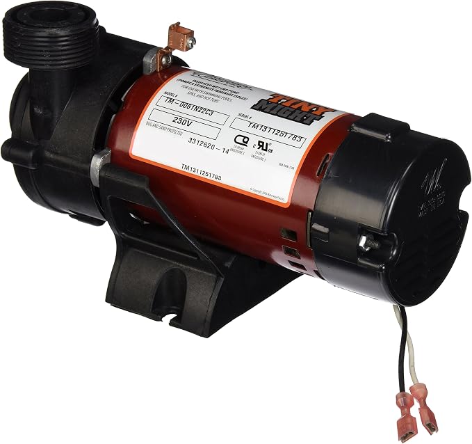 Waterway Plastics 3312620-14 Pump, 230-volt