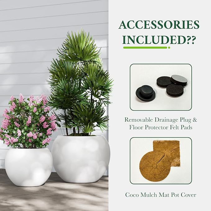 DTY Fiberstone Sphere Planter for Olive Trees, Globe Round Pot for Indoor Outdoor Use, Lightweight with Drainage Hole, 2 Coco Mats Included, White, Small 12.6" D x 10" H