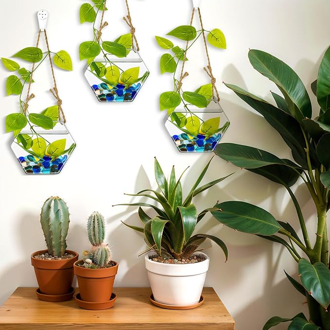 6 Pcs Wall Hanging Planter Glass Plant Pot Water Terrarium Containers Wall Vases for Flowers Air Hydroponic Propagation Glass Plant Holder Home Room Window Office(Hexagon)