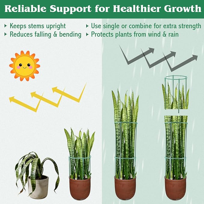 100 Pcs Plant Support Stake Half Round Plant Cage Stackable Garden Flower Support for Indoor Outdoor Flower Vegetable Tomato Peony Monstera Hydrangea Climbing Plants (6.2" W X 11.6" H)