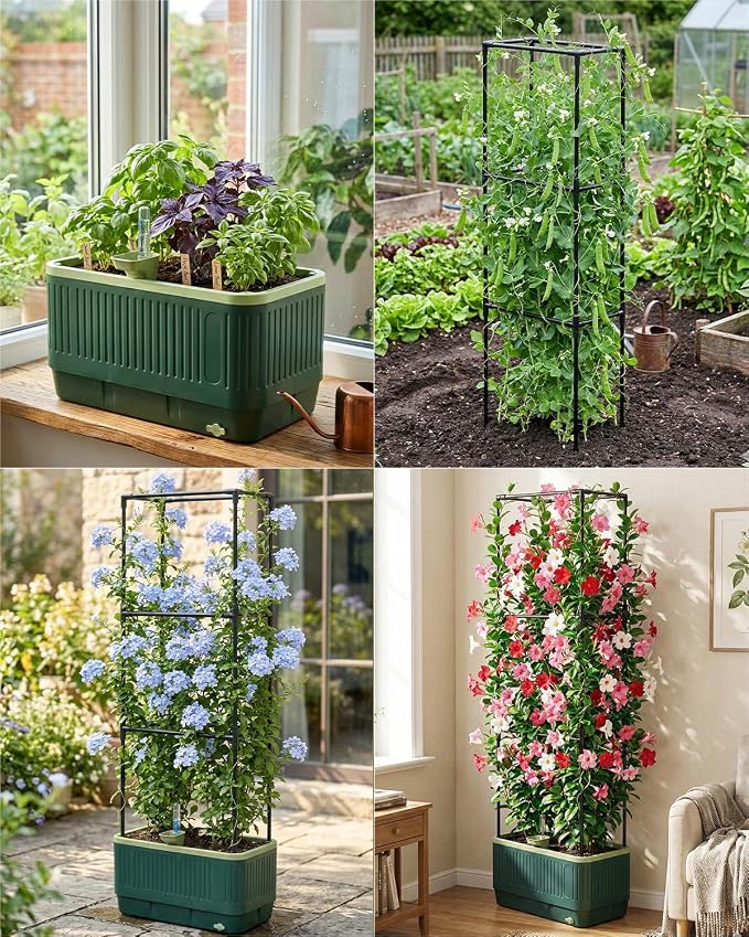 Raised Garden Bed Planter Box with Trellis, Self Watering Tomato Planters for Climbing Plants, Tomato Cage Trellis for Vegetables & Vine Flowers Indoor Outdoor Patio