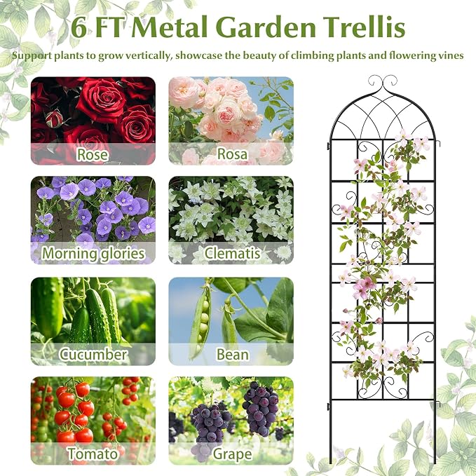 Giantex 4 Packs 71"x20" Metal Garden Trellis for Outdoor Climbing Plants, Heavy-Duty Plant Support for Vine Rose Vegetable Flower, Rustproof Black Metal Coating Patio Trellis Arch Decorative Fence