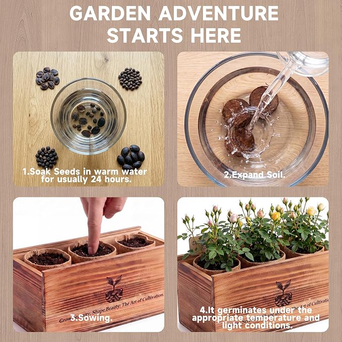 Flower Growing Kits, Windowsill Plant Starter Kit, Indoor Garden Starter Kit with Seed(Rose), Plant Gifts for Women, Mom Gifts