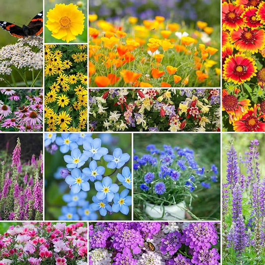 Eden Brothers Deer Resistant Wildflower Mixed Seeds for Planting, 5 lb, 2,400,000+ Seeds with Foxglove, Forget Me Not | Attracts Pollinators, Plant in Spring or Fall, Zones 3, 4, 5, 6, 7, 8, 9, 10