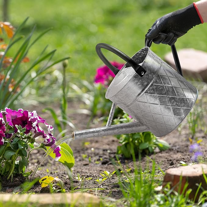 1.75 Gallon Outdoor Galvanized Metal Watering Can for Garden Plants, Vintage Zinc Watering Can with Removable Spray Spout, Ideal for Outdoor Use (Silver)