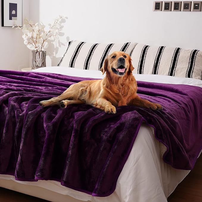 Sunsleek Waterproof Fleece Sherpa Blanket for Bed Sofa Couch Travel, Reversible Soft Throw Blanket for Dog Puppy Cat, Large Pet Blanket Furniture Protector (Purple,80x108 inches)