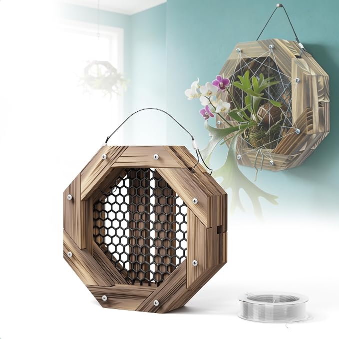 8.18 Inches Staghorn Fern Mounting Kit Orchid Mounting Wood Hanging Plant Frame Wall Planter Plant Holder Basket for Orchids Staghorn Fern Tropical Plants (208x208x60mm)