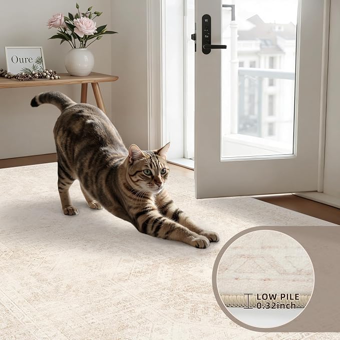 6x9 Area Rugs Living Room: Bedroom Neutral Washable Carpet Beige | Large Vintage Boho Indoor Decor Carpets Soft Nursery Farmhouse Dining Room Office Floor Non-Slip Low Pile Under Table Rug