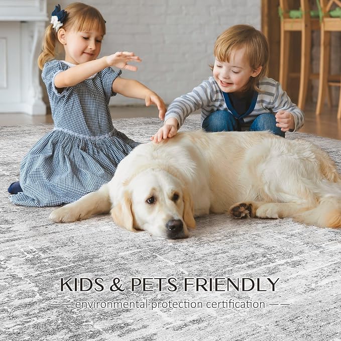 kakania 8x10 Washable Area Rug - Abstract Soft Non-Slip Modern Low-Pile Carpet for Living Room Bedroom Office Dorm, Kid Pet Safe Robot Vacuum Friendly - Grey White | Soft, Non-Slip, Low-Pile, Pet & Kid Friendly - Large Modern Home Decor Carpet for Bedr...