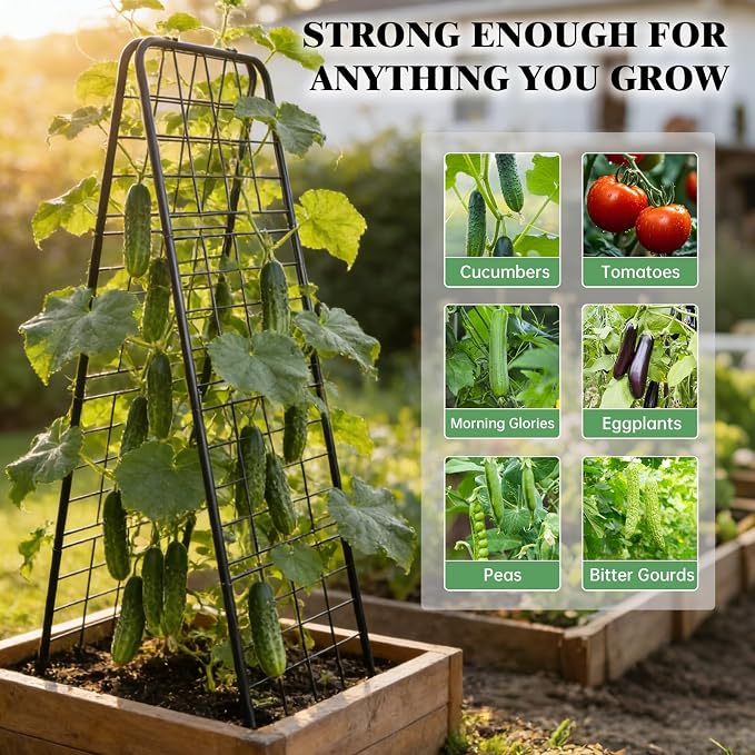 Perszen 50.39"x16.93" Sturdy Cucumber Trellis for Raised Garden Bed, Rustproof Metal Garden Trellis for Climbing Plants Outdoor, A-Frame Vertical Arch Trellis for Vegetables, Cucumber, Pea, Black