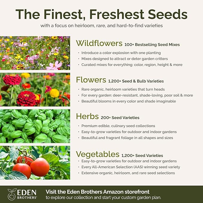 Eden Brothers Nevada Wildflower Mixed Seeds for Planting, 1 lb, 480,000+ Seeds with Yarrow, Cosmos | Attracts Pollinators, Plant in Spring or Fall, Zones