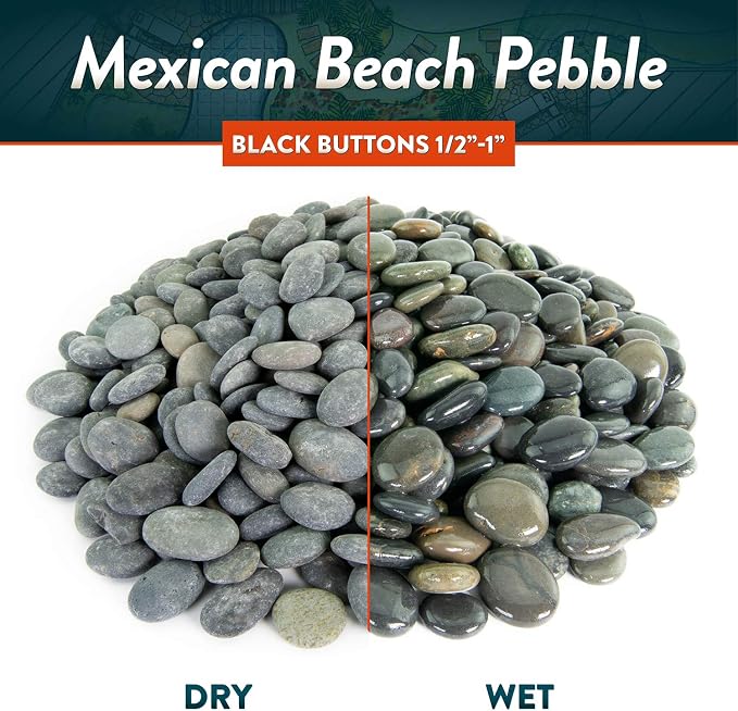 Mexican Beach Pebbles | 20 Pounds of Smooth Unpolished Stones | Hand-Picked, Premium Pebbles for Garden and Landscape Design | Black Buttons, 1/2 Inch - 1 Inch