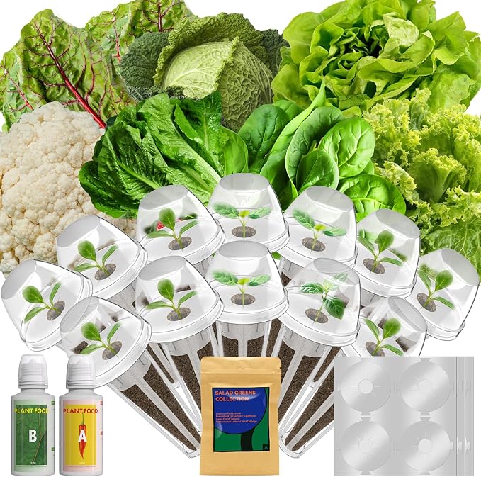 12 Pods Salad Greens Seed Pod Kit for AeroGarden, iDoo, Ahopegarden, Hydroponic Growing System Include 3 Kinds of Lettuce and Cauliflower, Spinach, Cabbage, Chard, 400+ Seeds