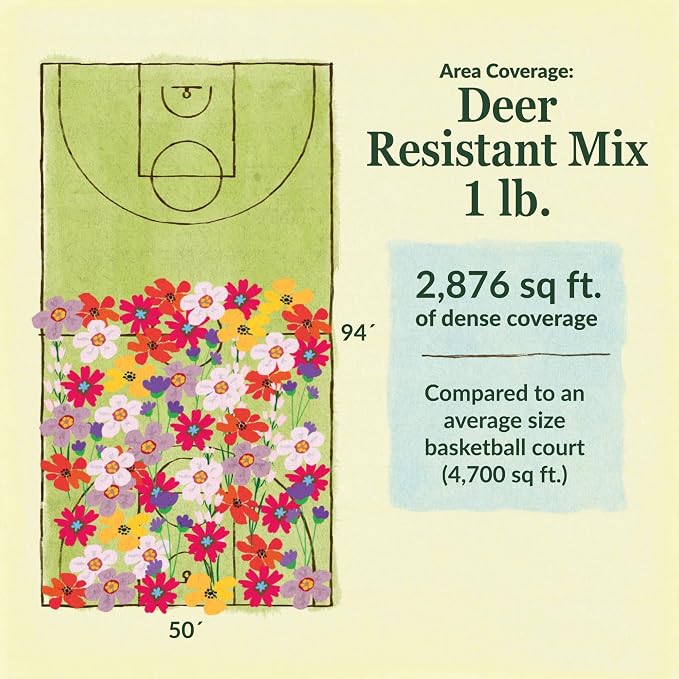 Ferry-Morse Wildflower Seeds Mix - Deer Resistant, Non-GMO, Outdoor, Wild Flowers - 1 lb
