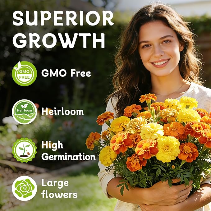 LUOJIBIE French Marigold Seeds for Planting Outdoors, Giant Marigold Flowers Seeds Bulk for 2026, Over 4,000+ Seeds Prolific Blooms, Ideal for Vibrant Pollinator Gardens