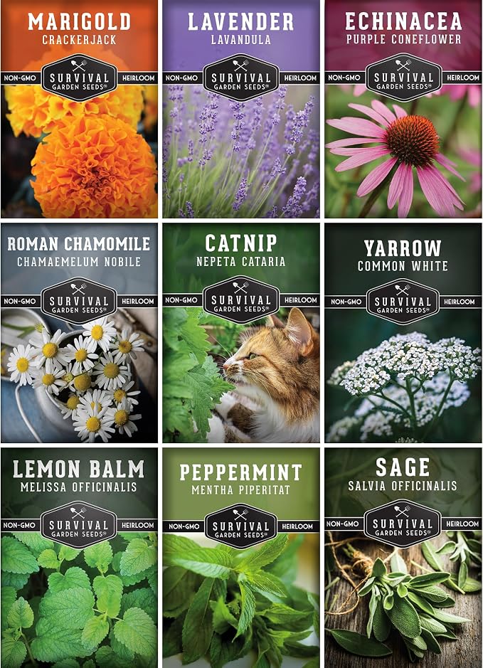 Medicinal Tea Herb Seeds for Planting | 9 Varieties - Survival Garden Seeds | Grow Herbal Teas, Natural Remedies – Home Apothecary Garden Kit – Heirloom, Non-GMO Herbs