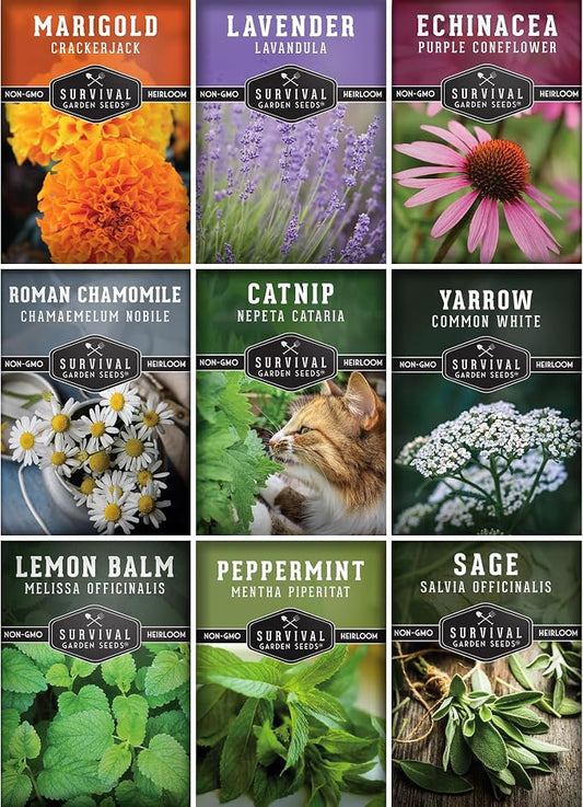 Medicinal Tea Herb Seeds for Planting | 9 Varieties - Survival Garden Seeds | Grow Herbal Teas, Natural Remedies – Home Apothecary Garden Kit – Heirloom, Non-GMO Herbs